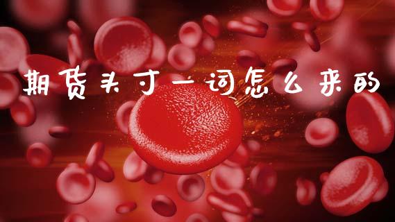 期货头寸一词怎么来的_https://m.15771688.com_美国道指_第1张
