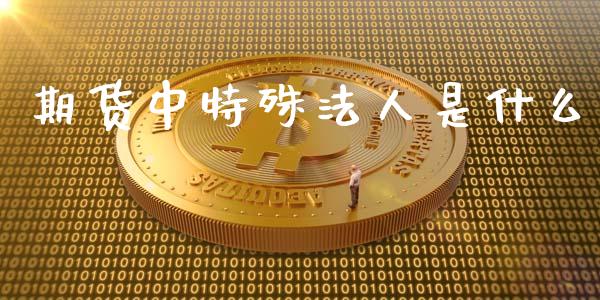 期货中特殊法人是什么_https://m.15771688.com_期货手续费_第1张