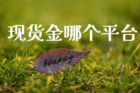 现货金哪个平台_https://m.15771688.com_期货开户_第1张