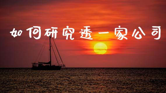 如何研究透一家公司_https://m.15771688.com_期货手续费_第1张