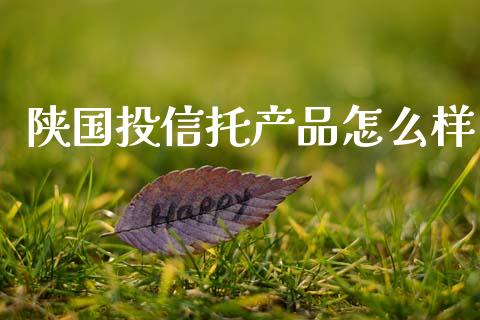 陕国投信托产品怎么样_https://m.15771688.com_期货手续费_第1张