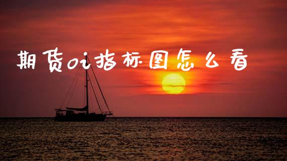 期货oi指标图怎么看_https://m.15771688.com_期货手续费_第1张