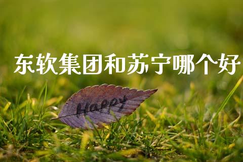 东软集团和苏宁哪个好_https://m.15771688.com_期货开户_第1张