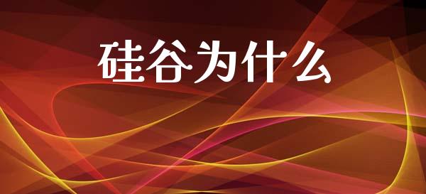 硅谷为什么_https://m.15771688.com_期货手续费_第1张