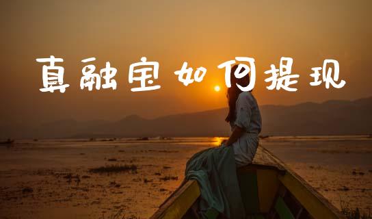 真融宝如何提现_https://m.15771688.com_期货手续费_第1张