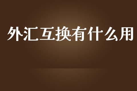 外汇互换有什么用_https://m.15771688.com_美国道指_第1张