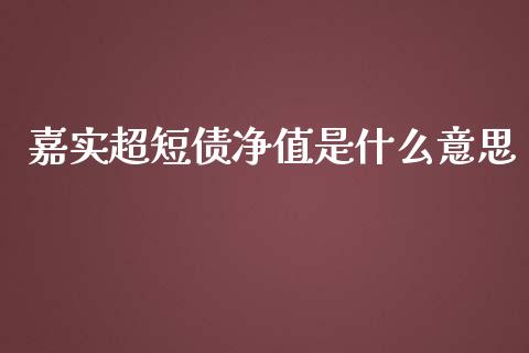 嘉实超短债净值是什么意思_https://m.15771688.com_美国道指_第1张