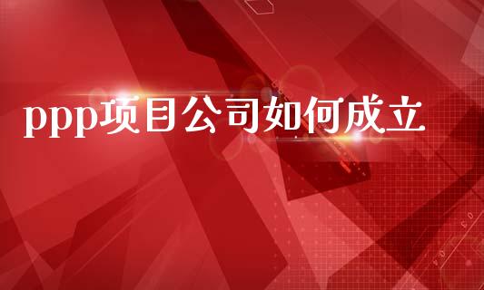 ppp项目公司如何成立_https://m.15771688.com_道指实时行情_第1张