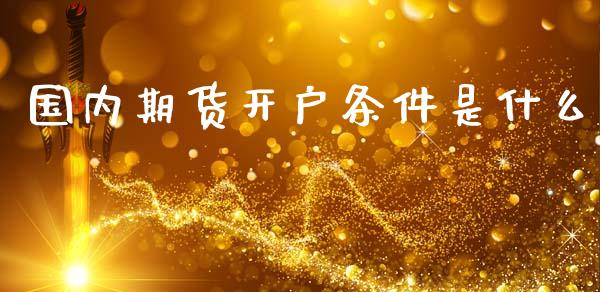 国内期货开户条件是什么_https://m.15771688.com_期货手续费_第1张