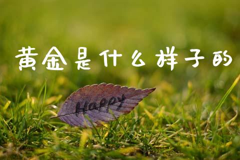 黄金是什么样子的_https://m.15771688.com_道指实时行情_第1张