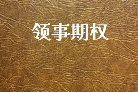 领事期权_https://m.15771688.com_期货开户_第1张