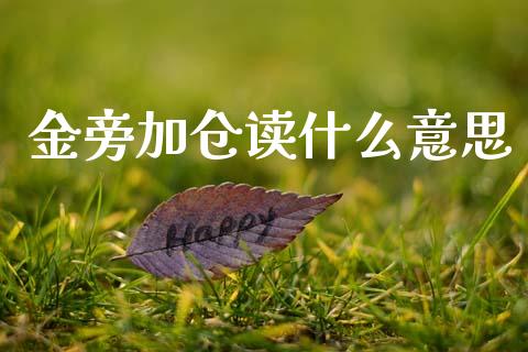 金旁加仓读什么意思_https://m.15771688.com_期货手续费_第1张
