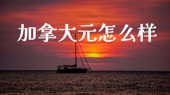 加拿大元怎么样_https://m.15771688.com_期货手续费_第1张