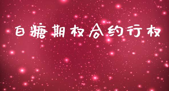 白糖期权合约行权_https://m.15771688.com_期货开户_第1张
