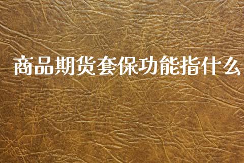 商品期货套保功能指什么_https://m.15771688.com_期货手续费_第1张