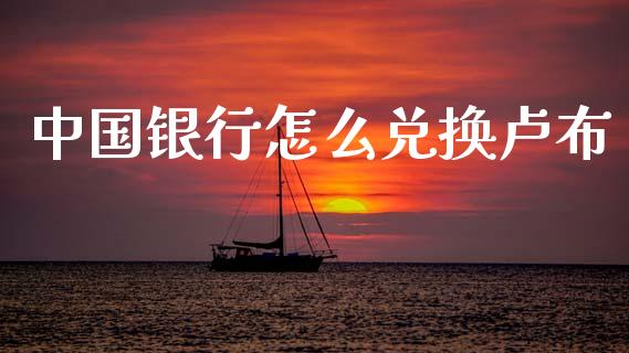 中国银行怎么兑换卢布_https://m.15771688.com_期货开户_第1张
