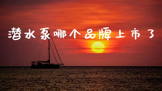 潜水泵哪个品牌上市了_https://m.15771688.com_道指实时行情_第1张