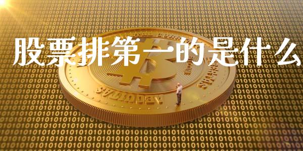 股票排第一的是什么_https://m.15771688.com_期货手续费_第1张