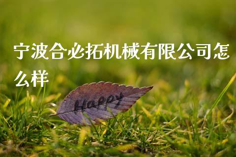 宁波合必拓机械有限公司怎么样_https://m.15771688.com_期货手续费_第1张