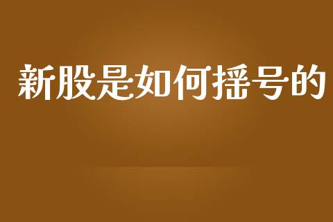 新股是如何摇号的_https://m.15771688.com_期货手续费_第1张