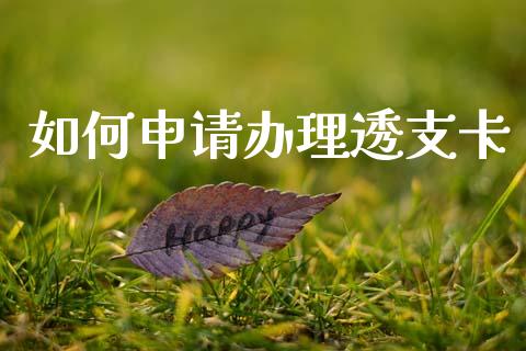 如何申请办理透支卡_https://m.15771688.com_美国道指_第1张