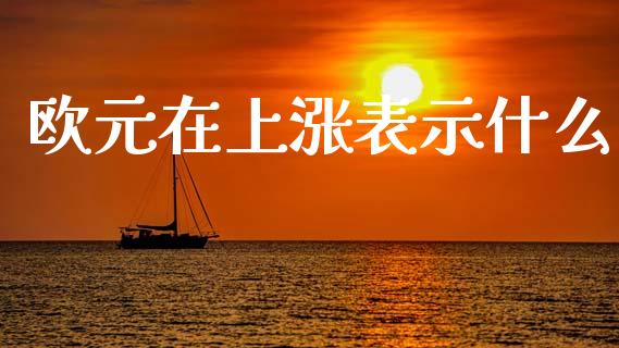 欧元在上涨表示什么_https://m.15771688.com_美国道指_第1张