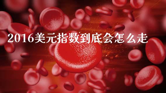 2016美元指数到底会怎么走_https://m.15771688.com_期货手续费_第1张