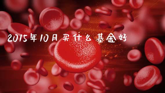 2015年10月买什么基金好_https://m.15771688.com_美国道指_第1张