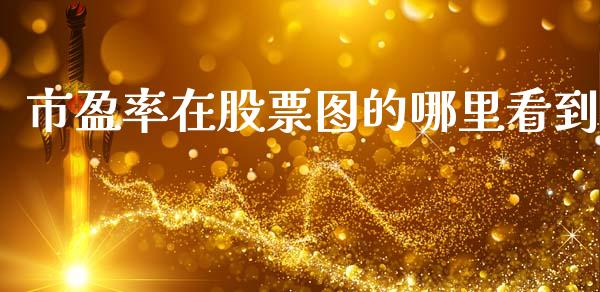 市盈率在股票图的哪里看到_https://m.15771688.com_道指实时行情_第1张