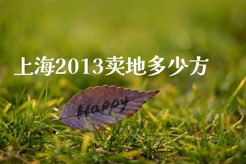 上海2013卖地多少方_https://m.15771688.com_美国道指_第1张