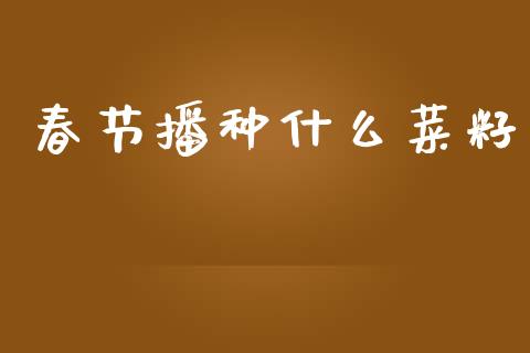 春节播种什么菜籽_https://m.15771688.com_美国道指_第1张