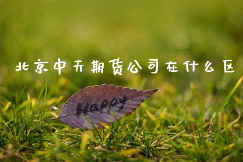 北京中天期货公司在什么区_https://m.15771688.com_美国道指_第1张