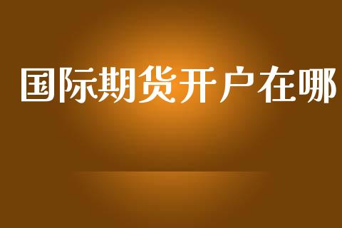 国际期货开户在哪_https://m.15771688.com_期货手续费_第1张