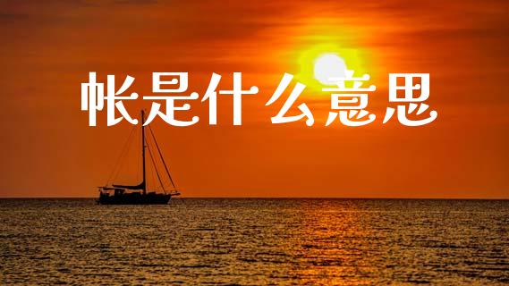 帐是什么意思_https://m.15771688.com_道指实时行情_第1张