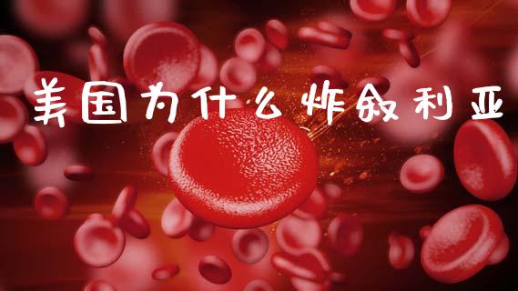 美国为什么炸叙利亚_https://m.15771688.com_期货手续费_第1张