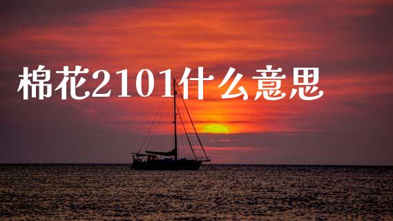 棉花2101什么意思_https://m.15771688.com_期货手续费_第1张