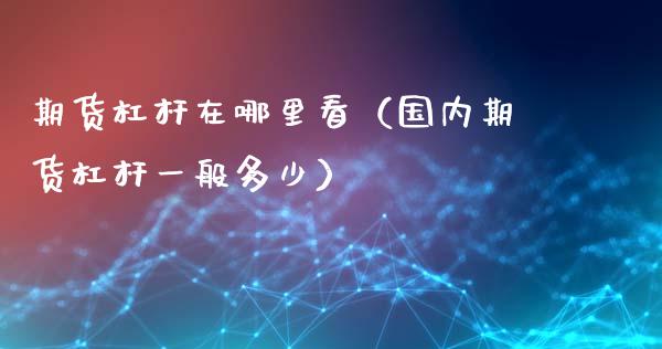 期货杠杆在哪里看(国内期货杠杆一般多少)_期货手续费_第1张_期货开户_期货手续费_道指实时行情_美国道指 期货杠杆在哪里看(国内期货杠杆一般多少)_https://m.15771688.com_期货手续费_第1张