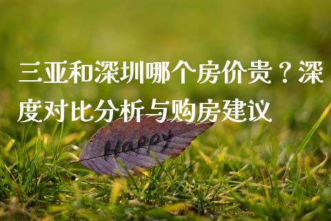 三亚和深圳哪个房价贵？深度对比分析与购房建议_https://m.15771688.com_期货手续费_第1张