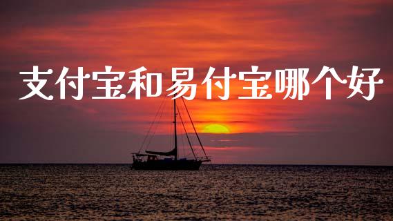 支付宝和易付宝哪个好_https://m.15771688.com_期货手续费_第1张