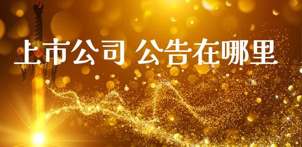 上市公司 公告在哪里_https://m.15771688.com_期货手续费_第1张
