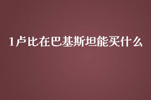 1卢比在巴基斯坦能买什么_https://m.15771688.com_期货手续费_第1张