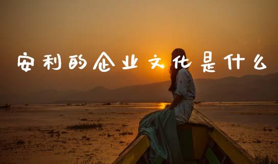 安利的企业文化是什么_https://m.15771688.com_美国道指_第1张