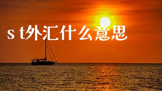 s t外汇什么意思_https://m.15771688.com_美国道指_第1张