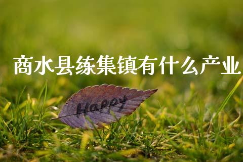 商水县练集镇有什么产业_https://m.15771688.com_期货开户_第1张