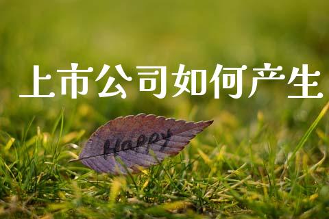 上市公司如何产生_https://m.15771688.com_期货手续费_第1张