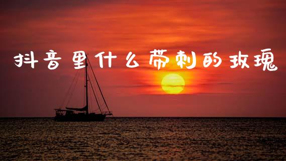 抖音里什么带刺的玫瑰_https://m.15771688.com_美国道指_第1张
