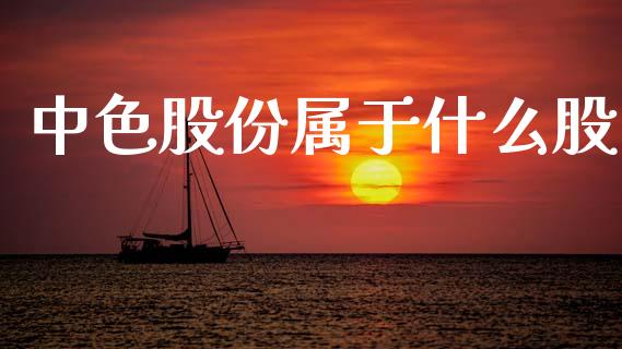 中色股份属于什么股_https://m.15771688.com_道指实时行情_第1张