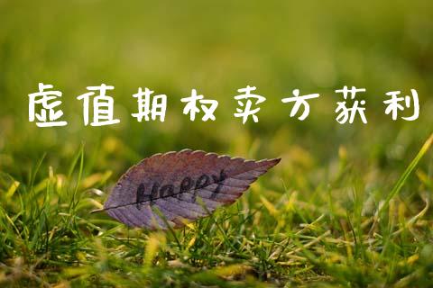 虚值期权卖方获利_https://m.15771688.com_期货手续费_第1张