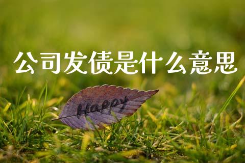 公司发债是什么意思_https://m.15771688.com_道指实时行情_第1张