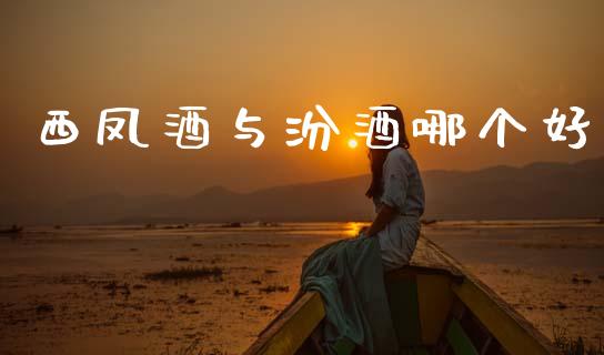 西凤酒与汾酒哪个好_https://m.15771688.com_期货开户_第1张